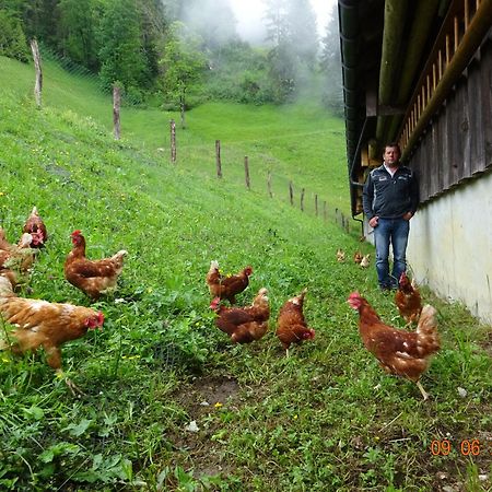 Berghof Burtscher Ludesch Esterno foto